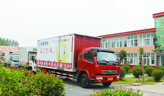 星空入口官方：七旬白叟养乌鸡 致富有钱“图” 