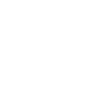 星空入口官方