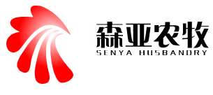 星空入口官方